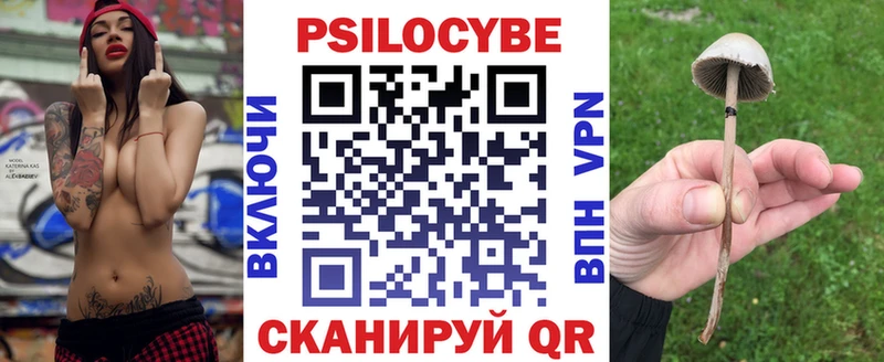Псилоцибиновые грибы Cubensis  Болгар 